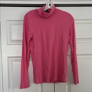 J Crew Tissue Turtleneck